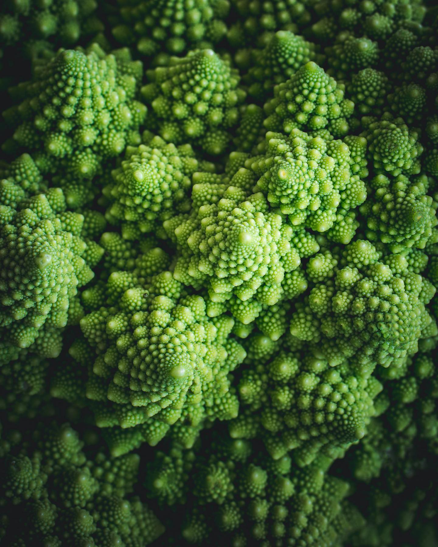 Poznáte romanesco? Je to niečo ako zelený karfiol, ale má oveľa jemnejšiu chuť. Musela som ho nafotiť, je to fakt krásavec, čo poviete?
This green Romanesco beauty is my entry for Foodartproject Challenge GREEN with Dacil Fernandez. The theme is Hero the color GREEN.
@dacil.fernandez
@creativebackgrounds.pl
@thesouthasiankitchen
@foodartproject
#foodartdacilproject
#foodartproject
#romanesco #macroshot #green #vegetable #foodmacrophotography #darkandmoody #darkfoodphotography #zuzanarainet #fotografjedla #fotimjedlo #fotkyjedla #fotografiejedla #dnesfotim